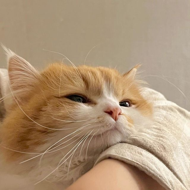 권지용 대표 이미지
