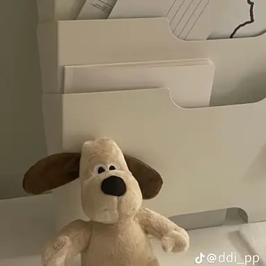 Profile image of 정상현