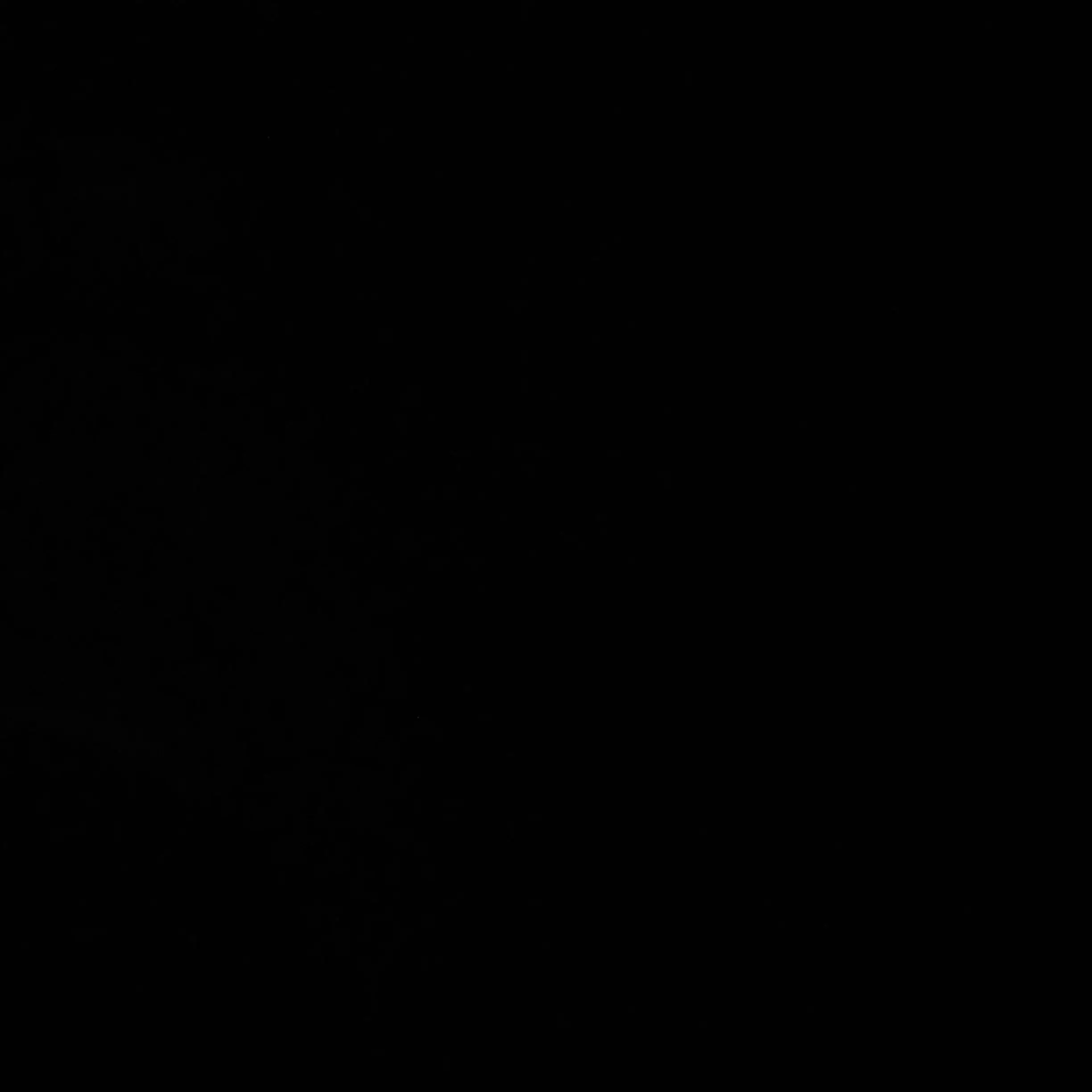 CockyLoach3882의 제미니님과의 결혼생활!!