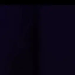 BruteLoss9249의 日光一文字