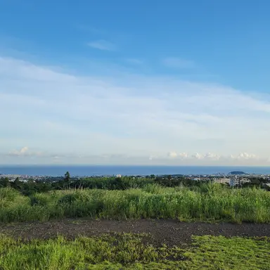 Profile image of 김일영