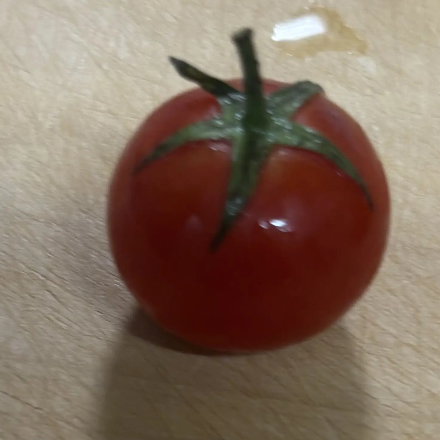 HumbleSheaf9609의 あの…ご機嫌ななめな感じで？