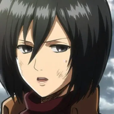 Profile image of ミカサ