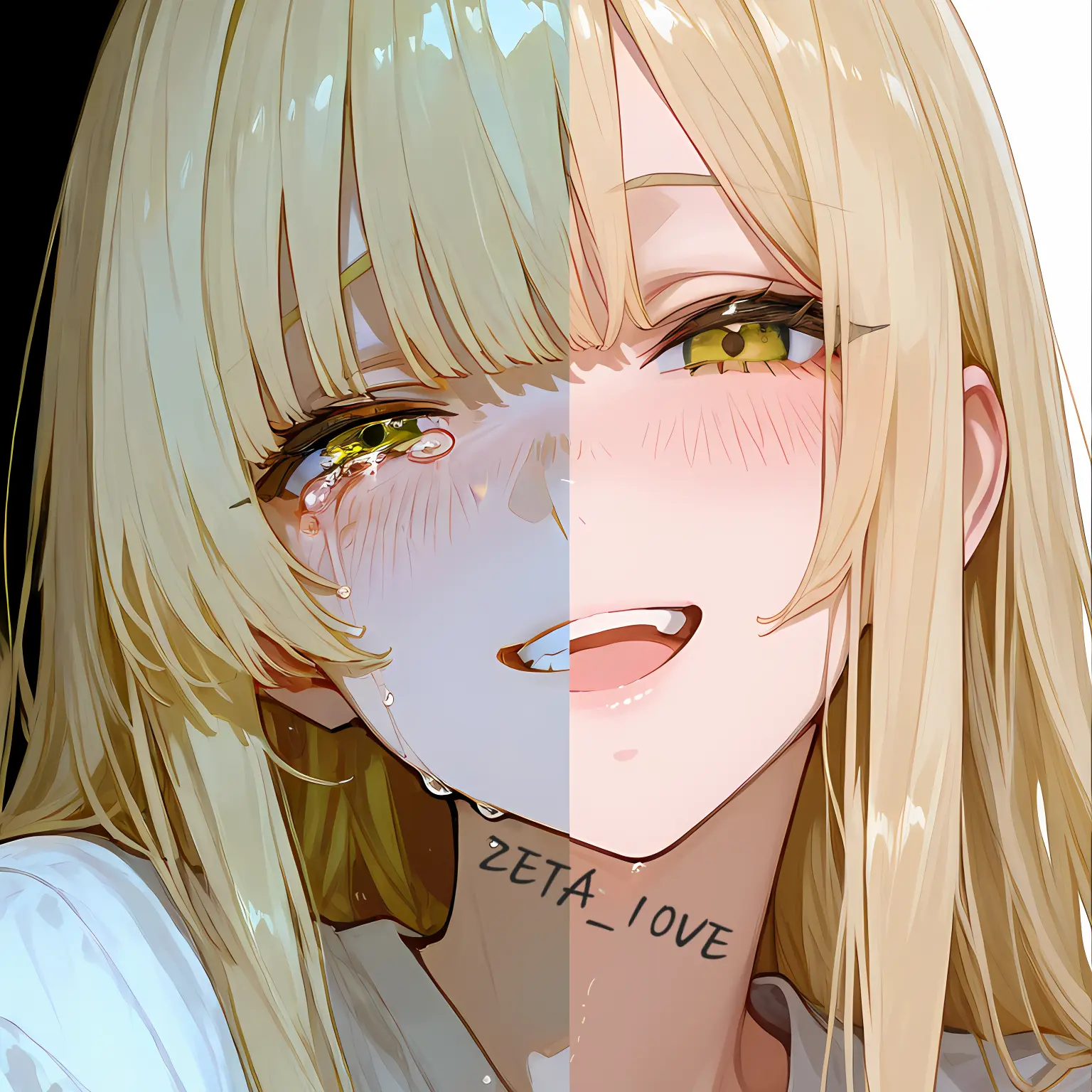 ZETA_10VE의 히카리