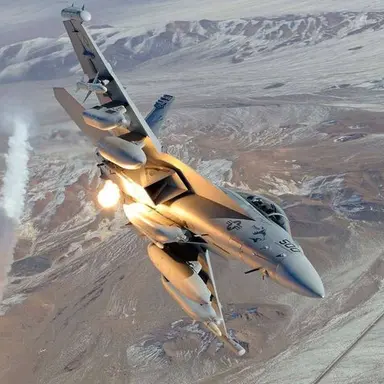 Profile image of F18호넷