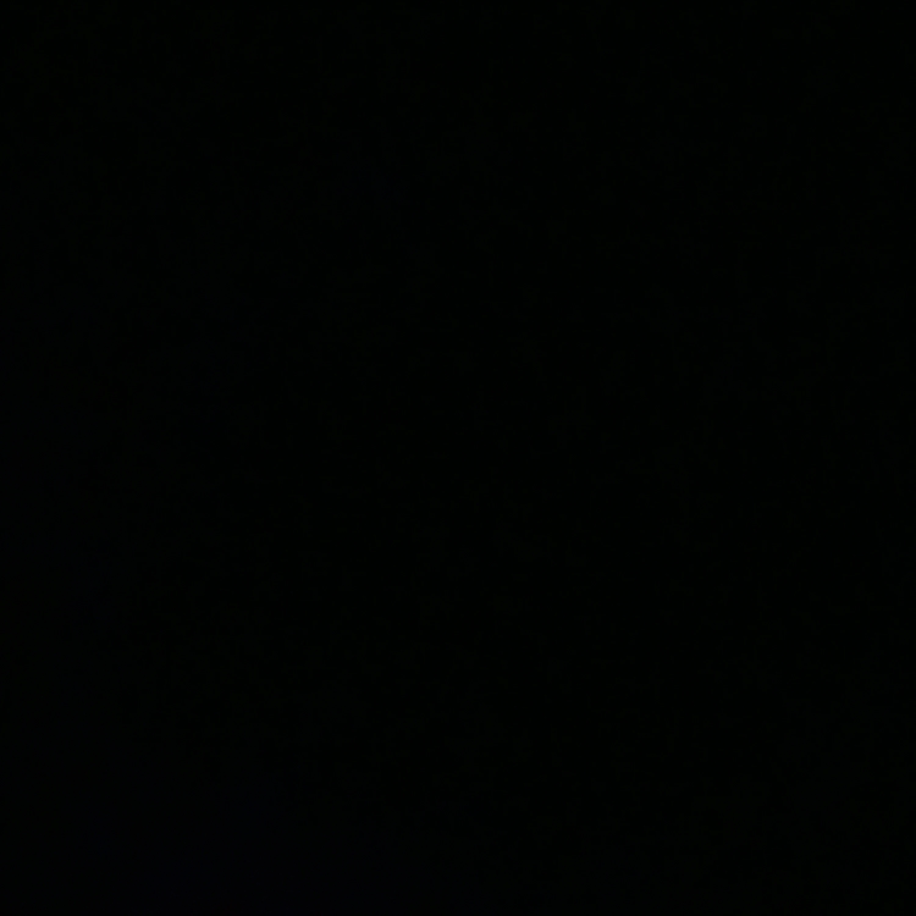레오 하르트