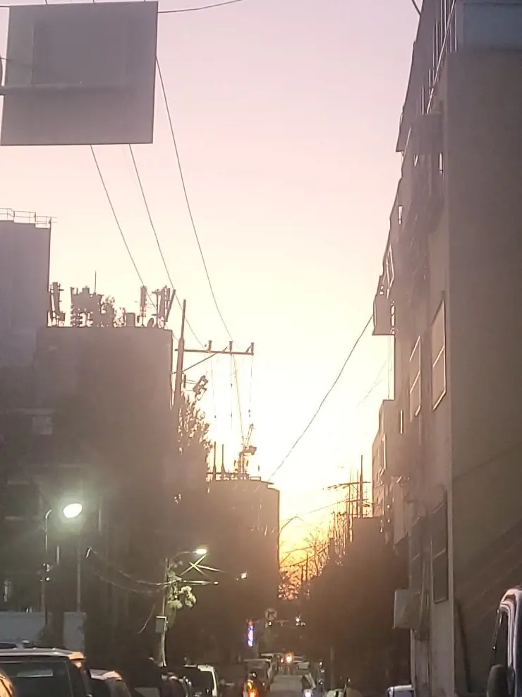 salhanle의 맘대로!