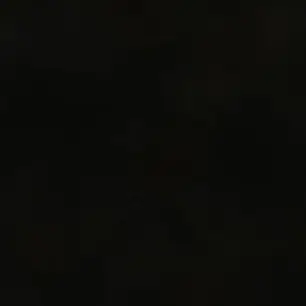 ny0ng.9_.1117의 ㅁㅈㅎ