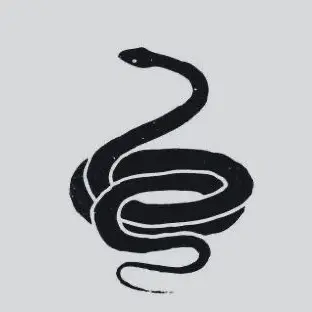Profile image of Z