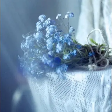 Profile image of 파이브