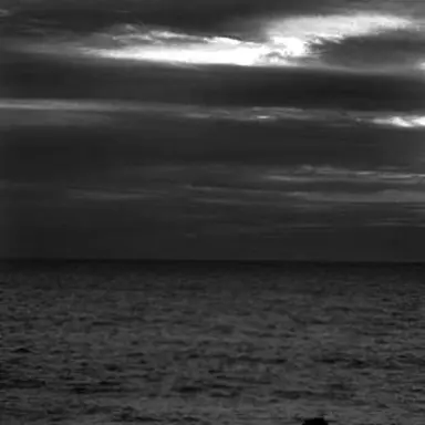 Profile image of 유지민