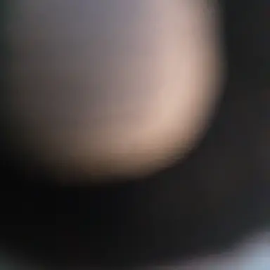 Profile image of 늑대