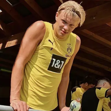 Profile image of Erling Haaland