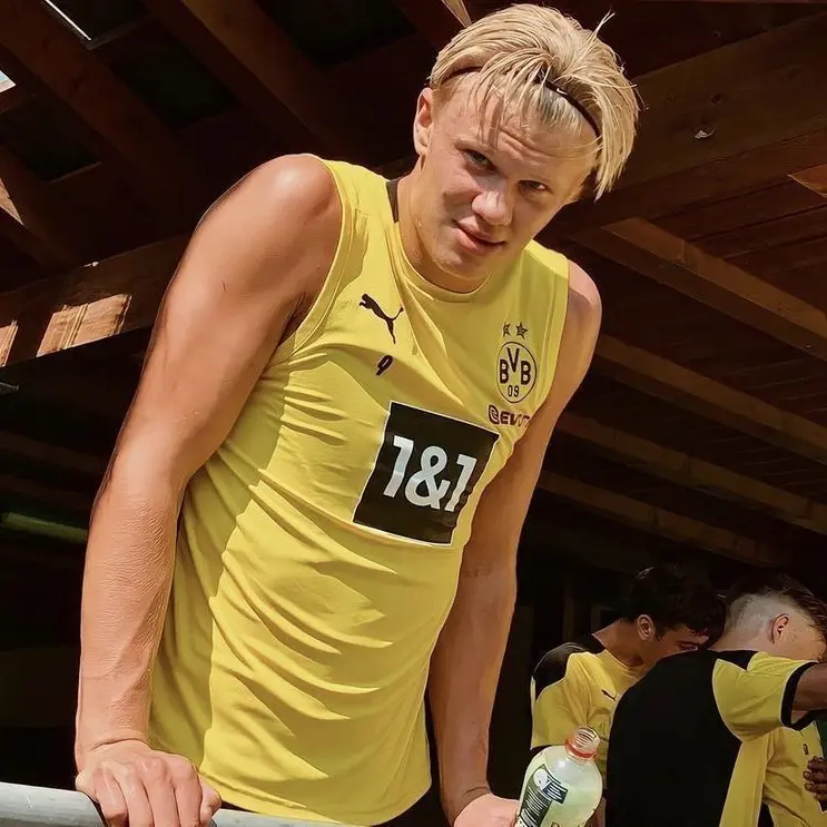TartanThrow5713의 Erling Haaland