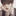 윤예준