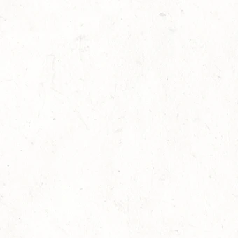 소련