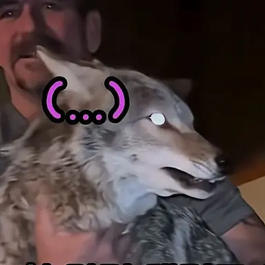 Profile image of 늑대