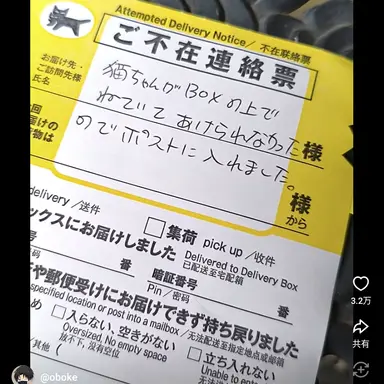 Profile image of 先生