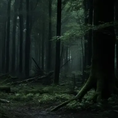 Profile image of 숲속에 사는 당신