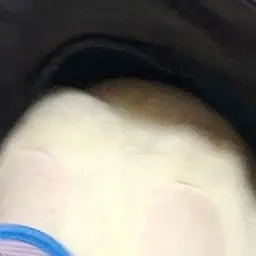 FishyBowl1461의 ふたりぼっち