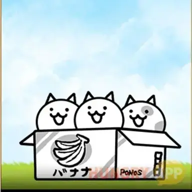 Profile image of 고양이 한박스