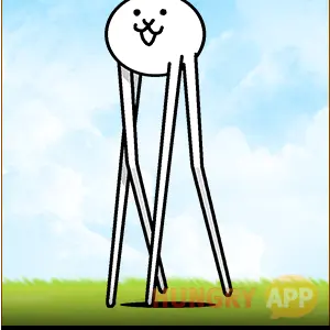 Profile image of 징글 고양이