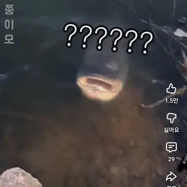 Profile image of 김여우