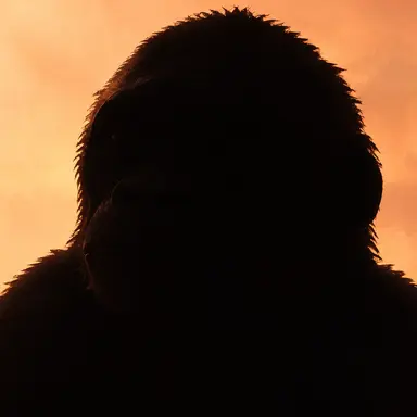 Profile image of 수코