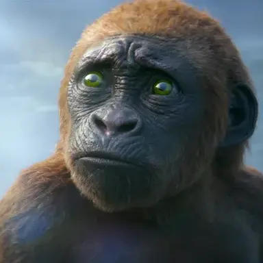 Profile image of 수코