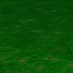 Profile image of 공룡