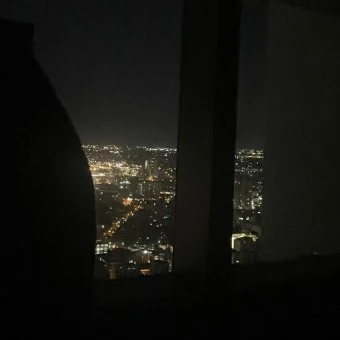 조직