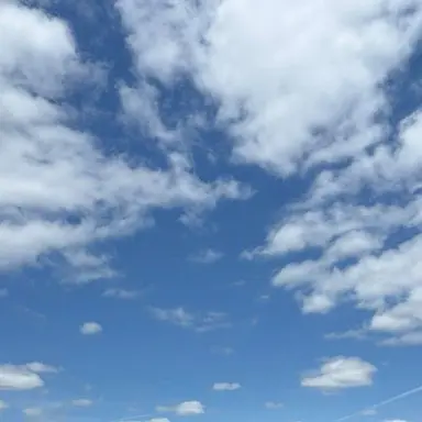Profile image of 空気