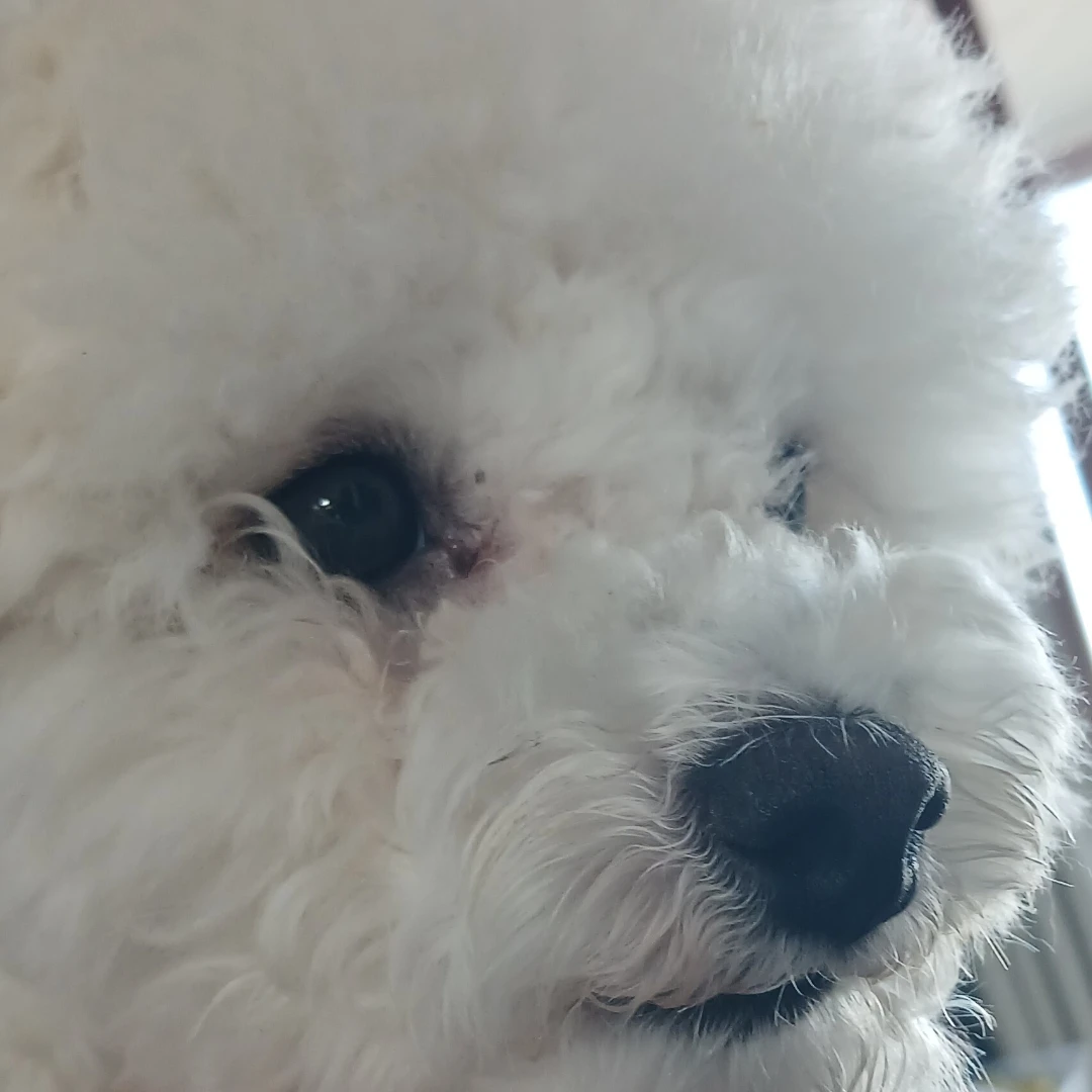 동생들