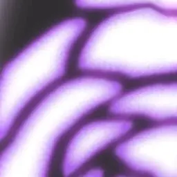 Profile image of 深澤辰哉