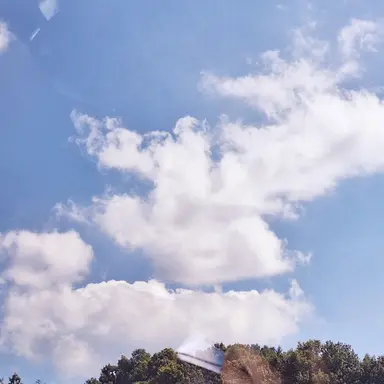 Profile image of 쉐밀