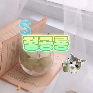 Profile image of 정공룡