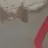 퓨어바닐라