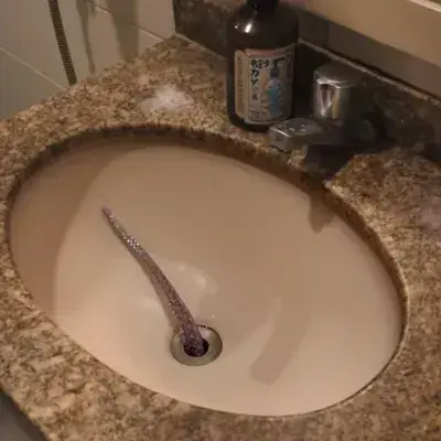 SlimEagle4535의 The Lurker