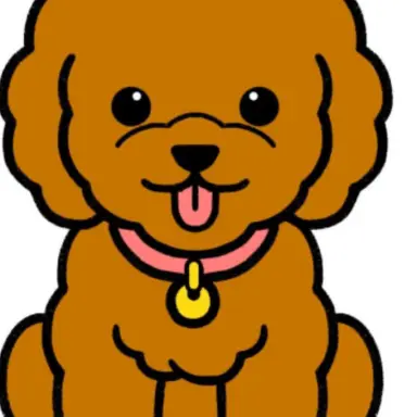 Profile image of 콩이