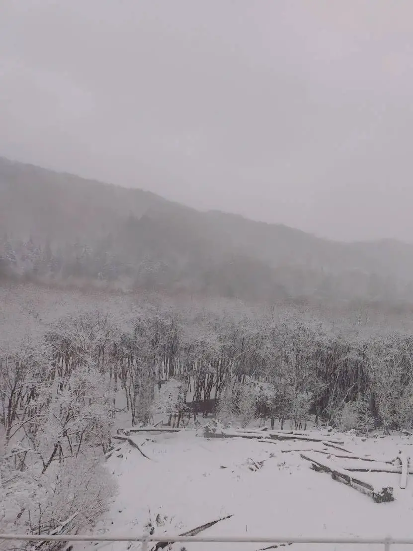 SameCookie.의 ナルシスト☆