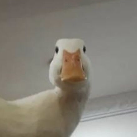 . 대표 이미지