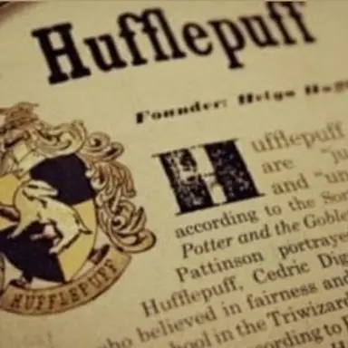 Profile image of 후플푸프