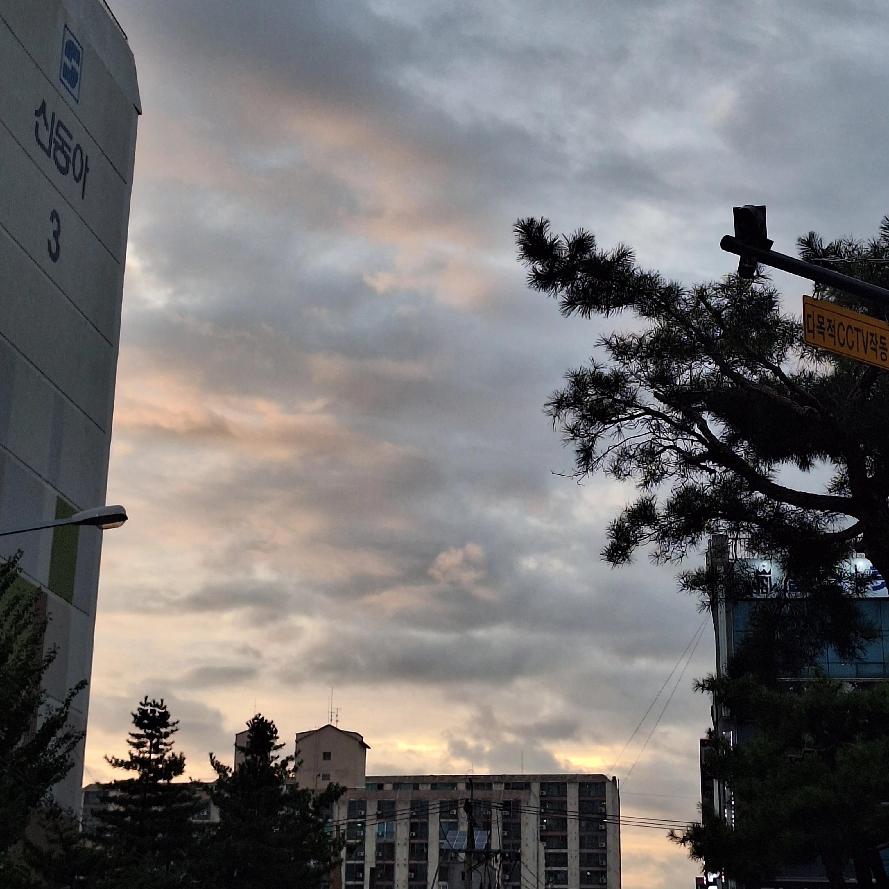 쉐도우밀크