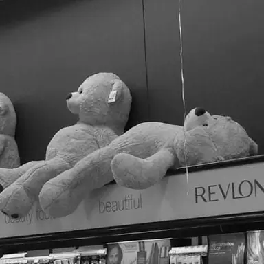 Profile image of 감제이