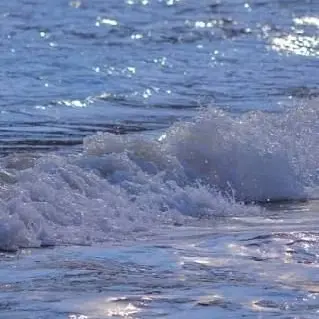 Profile image of 연이