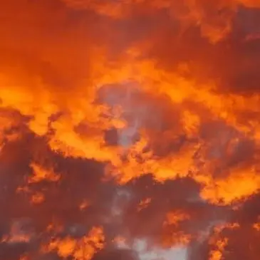 Profile image of 하루토