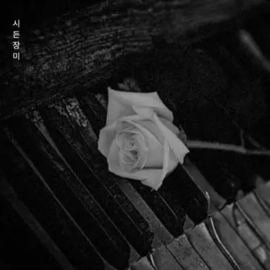 Profile image of 한여하