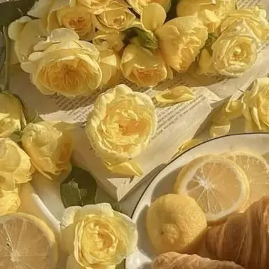 Profile image of 루이쨘