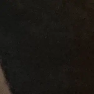 HumaneGorge1241의 김운악