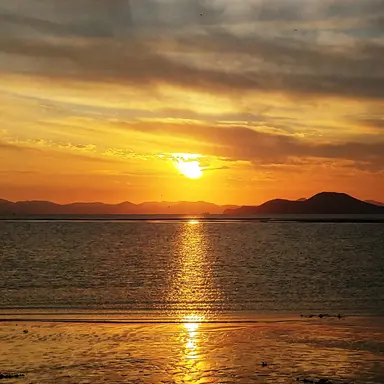 Profile image of 제미니